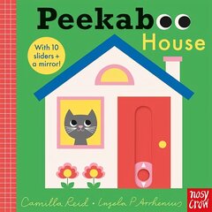 Peekaboo House цена и информация | Книги для малышей | kaup24.ee