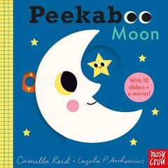 Peekaboo Moon hind ja info | Väikelaste raamatud | kaup24.ee