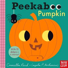 Peekaboo Pumpkin hind ja info | Väikelaste raamatud | kaup24.ee