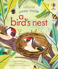 Peep Inside a Bird's Nest цена и информация | Книги для малышей | kaup24.ee