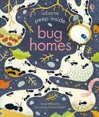 Peep Inside Bug Homes hind ja info | Väikelaste raamatud | kaup24.ee