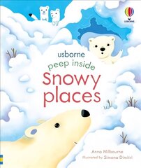 Peep Inside Snowy Places hind ja info | Väikelaste raamatud | kaup24.ee