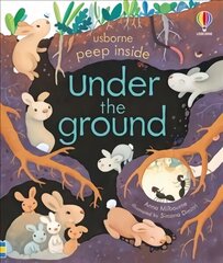 Peep Inside Under the Ground hind ja info | Väikelaste raamatud | kaup24.ee