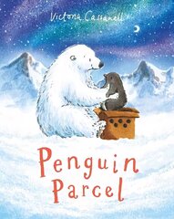 Penguin Parcel цена и информация | Книги для малышей | kaup24.ee