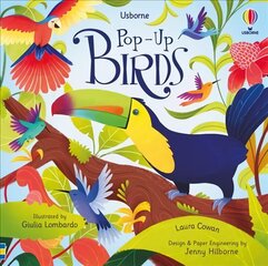 Pop-Up Birds hind ja info | Väikelaste raamatud | kaup24.ee