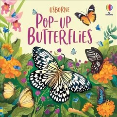 Pop-Up Butterflies цена и информация | Книги для малышей | kaup24.ee