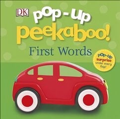 Pop-Up Peekaboo! First Words цена и информация | Книги для малышей | kaup24.ee