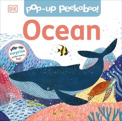 Pop-Up Peekaboo! Ocean hind ja info | Väikelaste raamatud | kaup24.ee