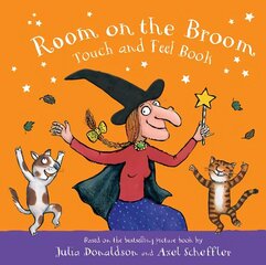 Room on the Broom Touch and Feel Book цена и информация | Книги для малышей | kaup24.ee
