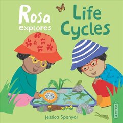 Rosa Explores Life Cycles hind ja info | Väikelaste raamatud | kaup24.ee