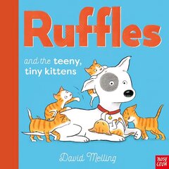 Ruffles and the Teeny Tiny Kittens цена и информация | Книги для малышей | kaup24.ee