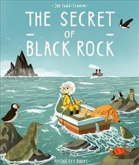 Secret of Black Rock цена и информация | Книги для малышей | kaup24.ee