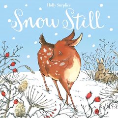 Snow Still цена и информация | Книги для малышей | kaup24.ee