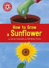 Reading Champion: How to Grow a Sunflower: Independent Reading Non-fiction Red 2 hind ja info | Noortekirjandus | kaup24.ee