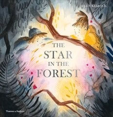 Star in the Forest цена и информация | Книги для малышей | kaup24.ee