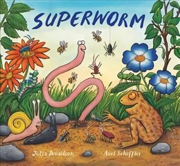 Superworm Gift Edition Board Book Special edition цена и информация | Книги для малышей | kaup24.ee