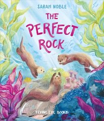 The Perfect Rock hind ja info | Väikelaste raamatud | kaup24.ee