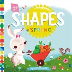 The Shapes of Spring hind ja info | Väikelaste raamatud | kaup24.ee