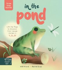 Three Step Stories: In the Pond: Lift the flaps to discover first nature stories in 1... 2... 3! hind ja info | Väikelaste raamatud | kaup24.ee