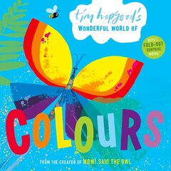 Tim Hopgood's Wonderful World of Colours 1 цена и информация | Книги для малышей | kaup24.ee