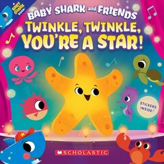 Twinkle Twinkle, You're a Star цена и информация | Книги для малышей | kaup24.ee