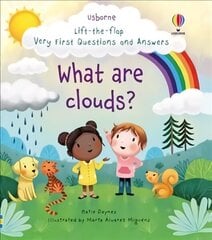 Very First Questions and Answers What are clouds?: What are Clouds? цена и информация | Книги для малышей | kaup24.ee