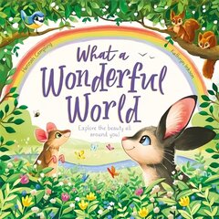 What a Wonderful World hind ja info | Väikelaste raamatud | kaup24.ee
