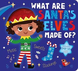 What Are Santa's Elves Made Of? цена и информация | Книги для малышей | kaup24.ee