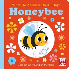 What Do Animals Do All Day?: Honeybee: Lift the Flap Board Book hind ja info | Väikelaste raamatud | kaup24.ee
