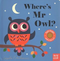 Where's Mr Owl? hind ja info | Väikelaste raamatud | kaup24.ee