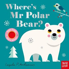 Where's Mr Polar Bear? цена и информация | Книги для малышей | kaup24.ee