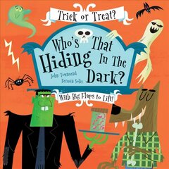 Who's Hiding In The Dark? Illustrated edition цена и информация | Книги для малышей | kaup24.ee