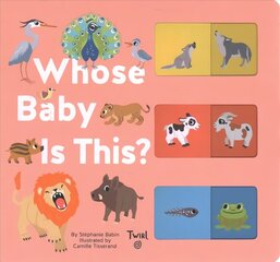 Whose Baby is This? цена и информация | Книги для малышей | kaup24.ee