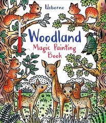 Woodland Magic Painting Book hind ja info | Väikelaste raamatud | kaup24.ee