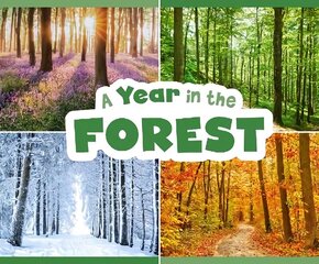 Year in the Forest hind ja info | Väikelaste raamatud | kaup24.ee