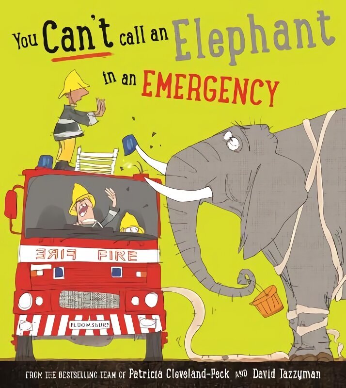 You Can't Call an Elephant in an Emergency цена и информация | Väikelaste raamatud | kaup24.ee