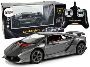 Kaugjuhtimispuldiga sportauto Lamborghini, 2,4G, 1:24, hõbedane hind ja info | Poiste mänguasjad | kaup24.ee