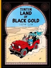 Land of Black Gold цена и информация | Книги для подростков и молодежи | kaup24.ee