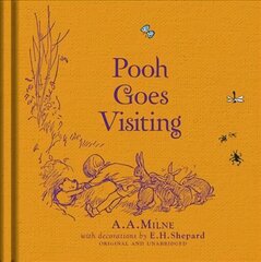 Winnie-the-Pooh: Pooh Goes Visiting цена и информация | Книги для подростков и молодежи | kaup24.ee