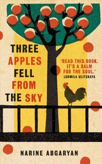 Three Apples Fell from the Sky: The International Bestseller hind ja info | Fantaasia, müstika | kaup24.ee