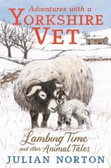 Adventures with a Yorkshire Vet: Lambing Time and Other Animal Tales цена и информация | Книги для подростков и молодежи | kaup24.ee