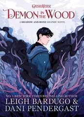 Demon in the Wood: A Shadow and Bone Graphic Novel hind ja info | Noortekirjandus | kaup24.ee