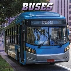 Buses hind ja info | Noortekirjandus | kaup24.ee
