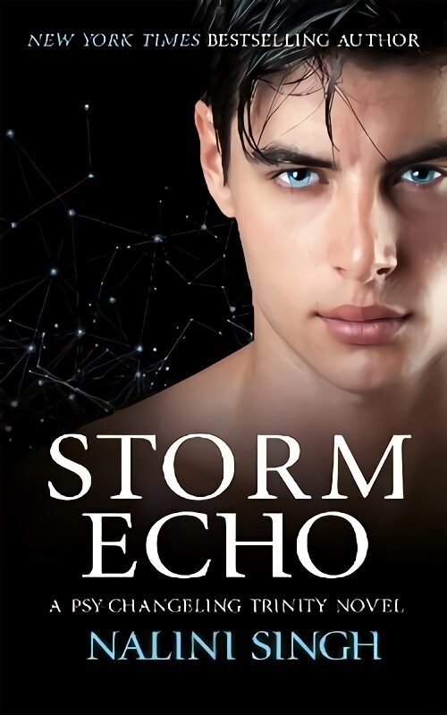 Storm Echo: Book 6 hind ja info | Fantaasia, müstika | kaup24.ee