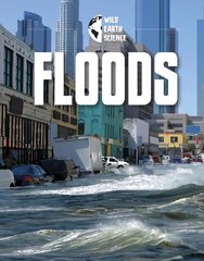 Floods цена и информация | Книги для подростков и молодежи | kaup24.ee