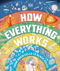 How Everything Works: From Brain Cells to Black Holes цена и информация | Книги для подростков и молодежи | kaup24.ee