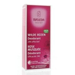 Spreideodorant Weleda Wild Rose naistele, 100 ml цена и информация | Дезодоранты | kaup24.ee