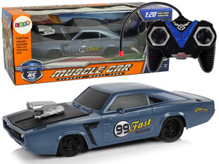 Kaugjuhitav sportlik Muscle Car auto 1:20, hall hind ja info | Poiste mänguasjad | kaup24.ee