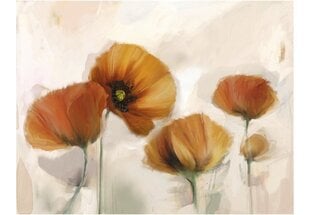 Seinamaalingud - Poppies, vintage 200x154cm цена и информация | Фотообои | kaup24.ee