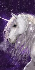 Rannarätik Unicorn, 70x140 cm цена и информация | Полотенца | kaup24.ee